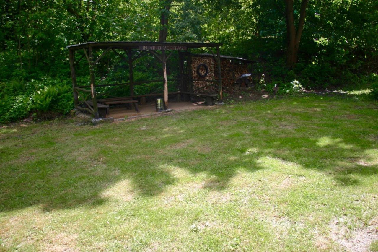 Villa Sunshine / Slunecna Vila Krásná Lípa Bagian luar foto
